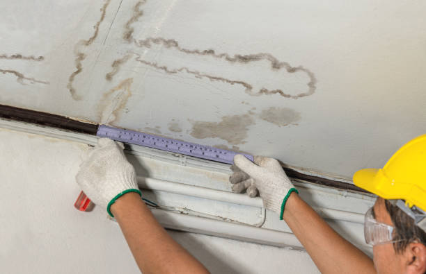 Reliable Water Damage Repair contractor in Michigan, MI by Hirex Water Damage
